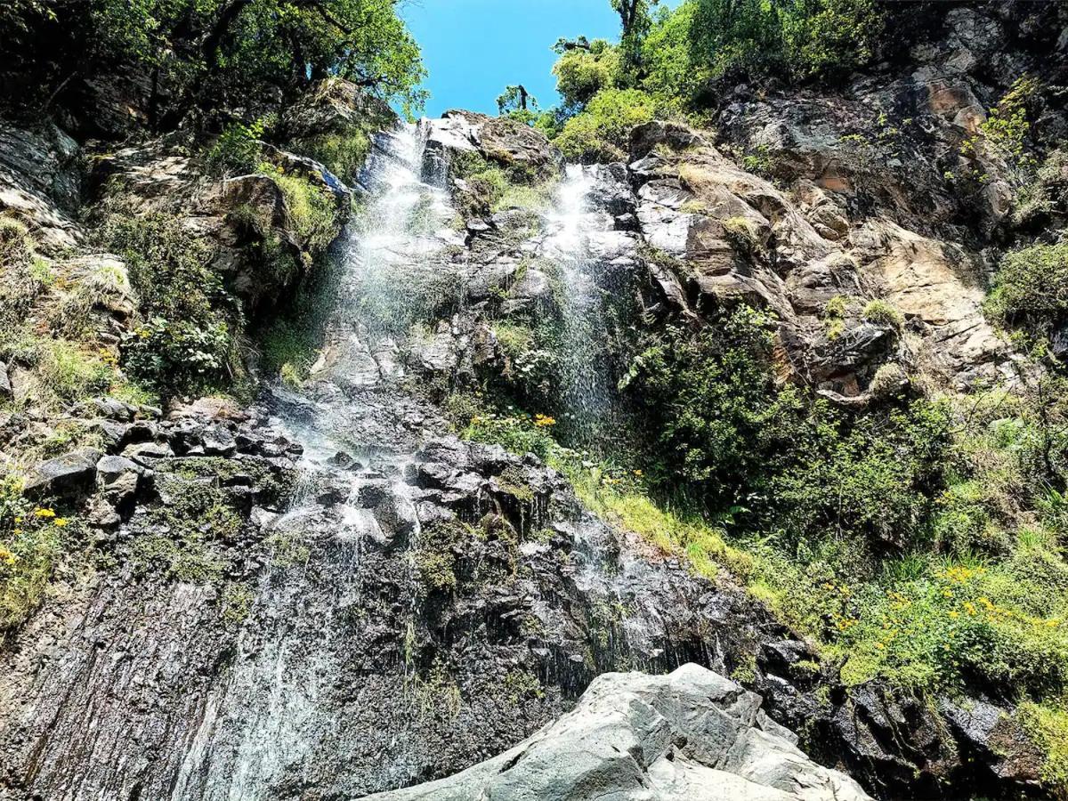 Cabana Para Pareja En El Bosque Ib Acaxochitlán Dış mekan fotoğraf