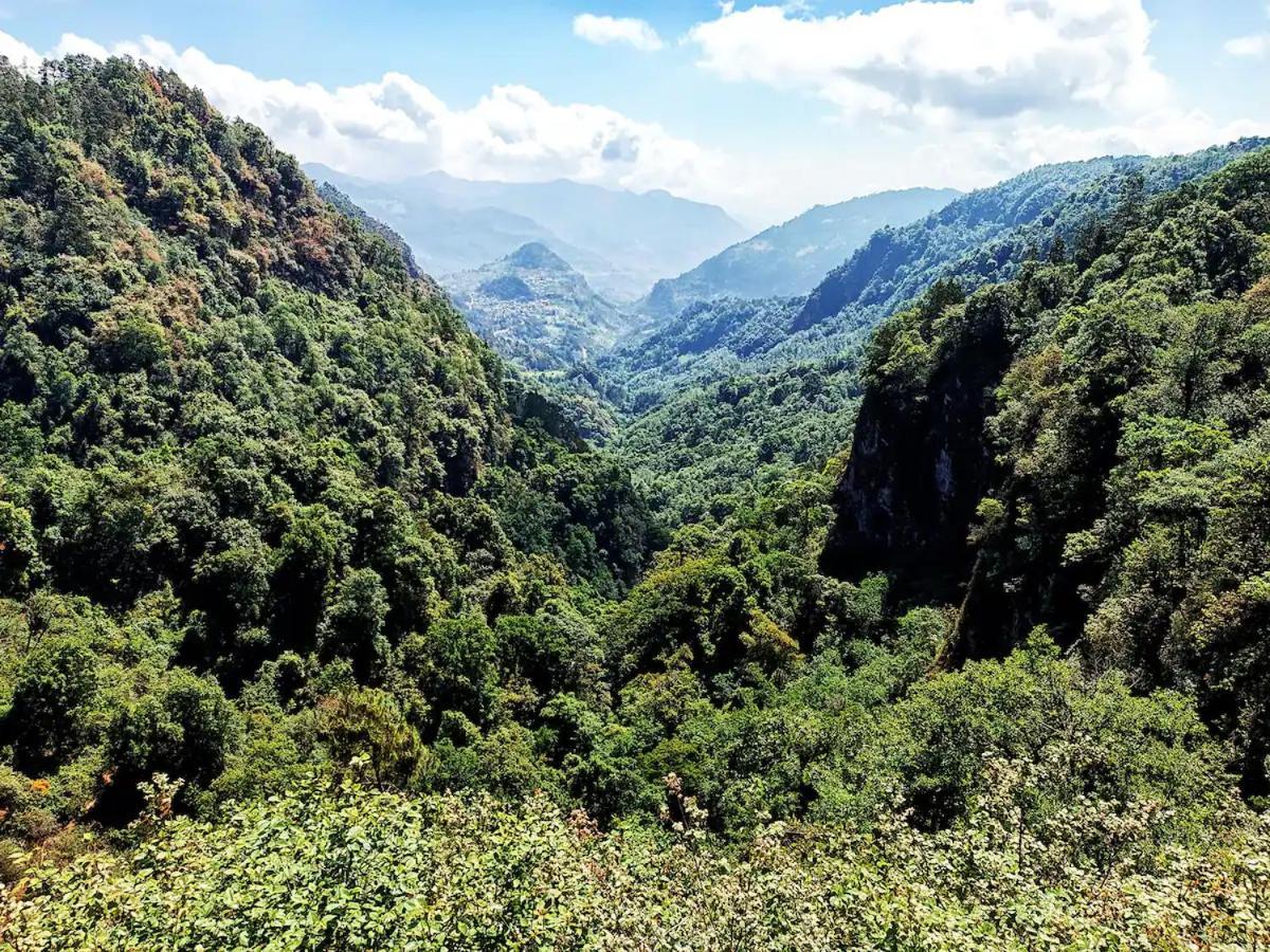 Cabana Para Pareja En El Bosque Ib Acaxochitlán Dış mekan fotoğraf