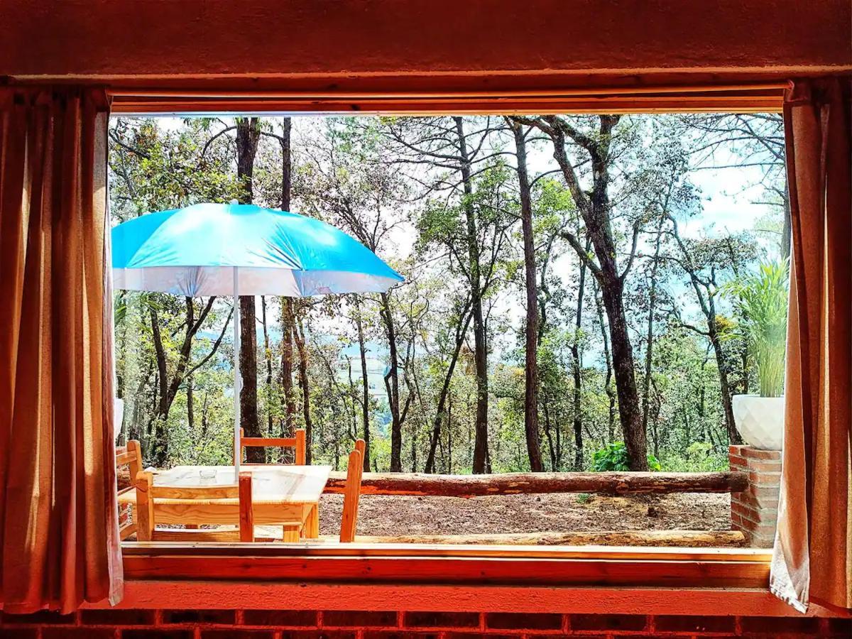 Cabana Para Pareja En El Bosque Ib Acaxochitlán Dış mekan fotoğraf