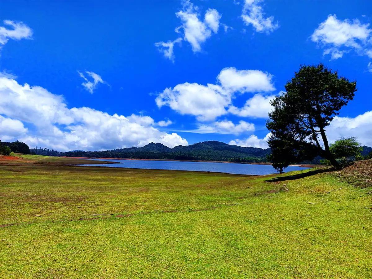 Cabana Para Pareja En El Bosque Ib Acaxochitlán Dış mekan fotoğraf